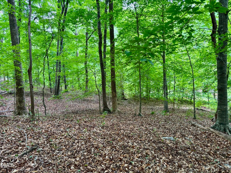 1025 Dairyland Rd Lot none, Chapel Hill, NC 27516
