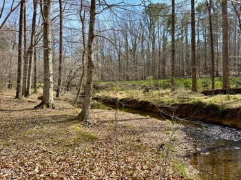 1025 Dairyland Rd Lot none, Chapel Hill, NC 27516
