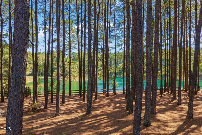 1028 White Fir Dr, Wake Forest, NC 27587