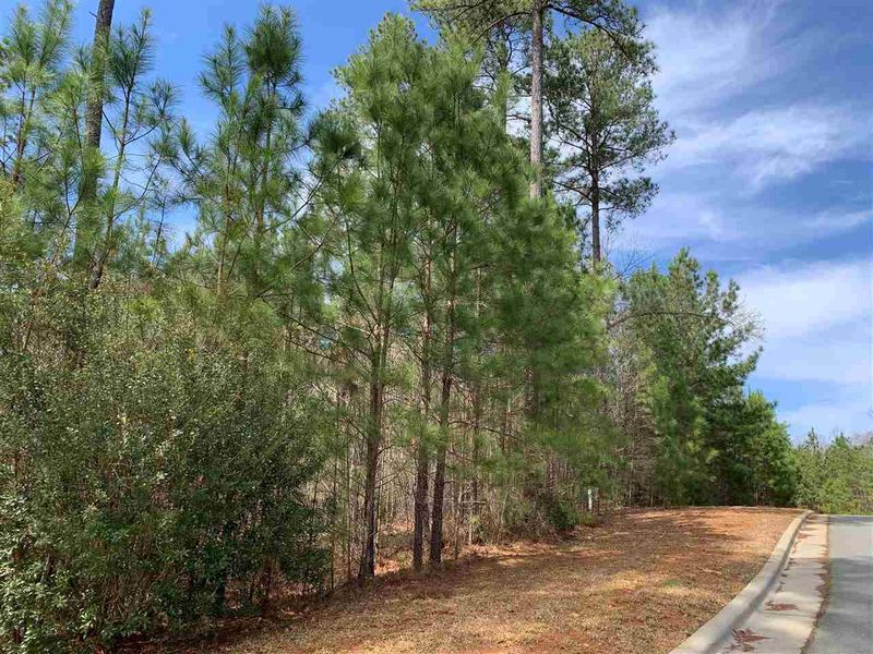 103 Brandy Mill Lot 292, Pittsboro, NC 27312