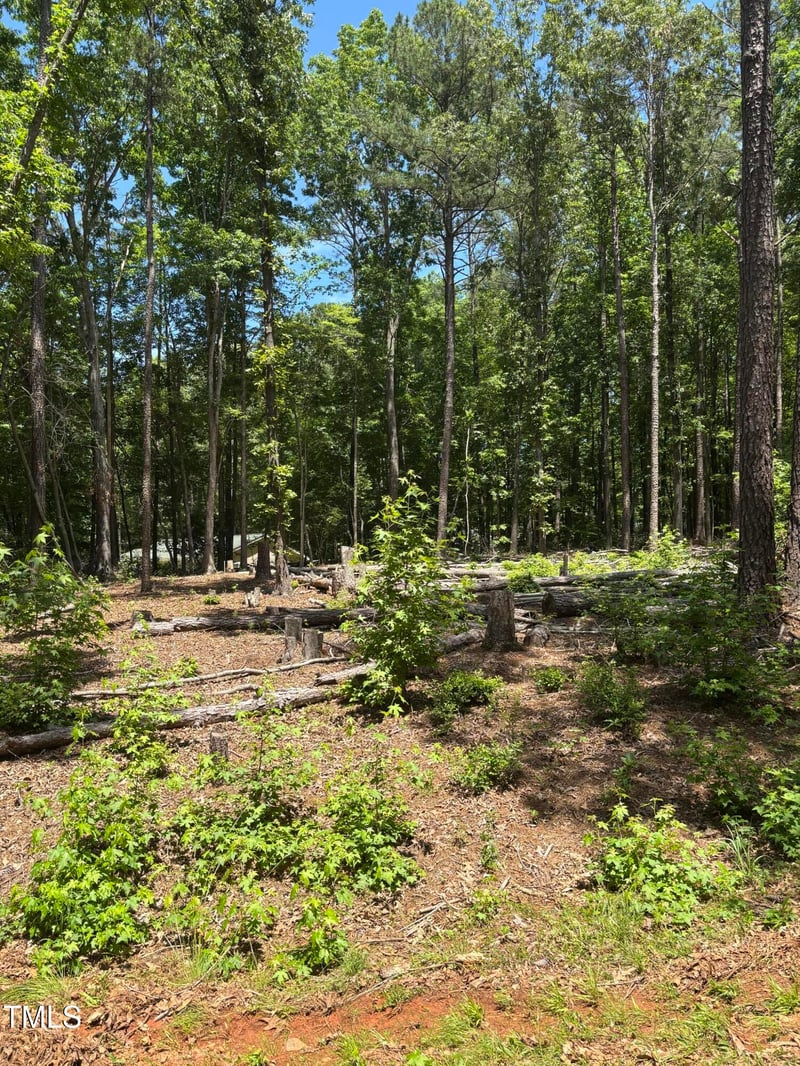 103 Fort Dr, Louisburg, NC 27549