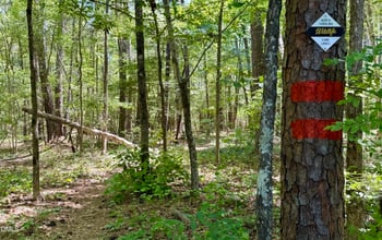 103 Kyle Way Dr Lot 17, Chapel Hill, NC 27517
