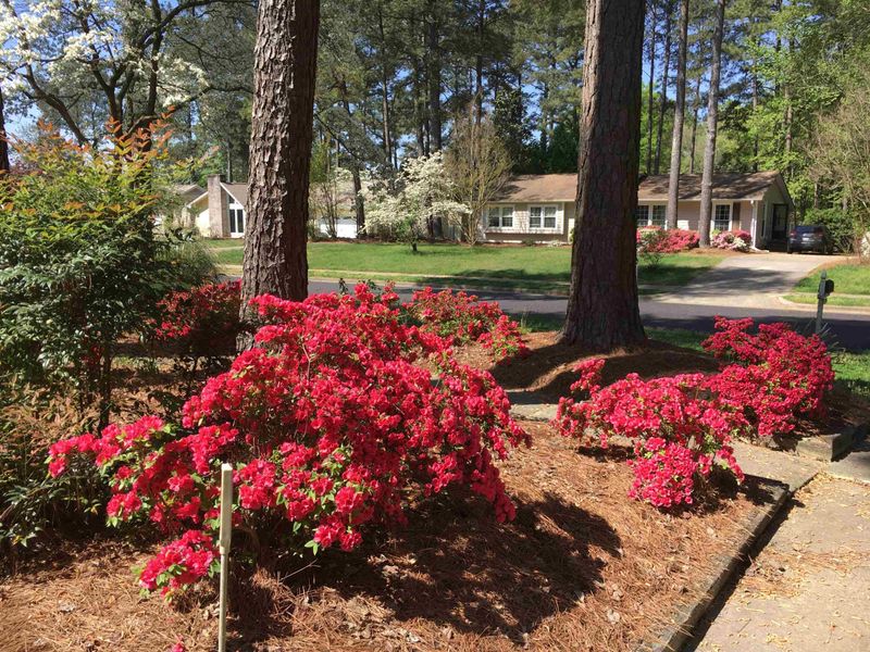 103 Penny Ln, Cary, NC 27511