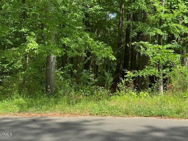 103 Spring Blossom Ln, Durham, NC 27705