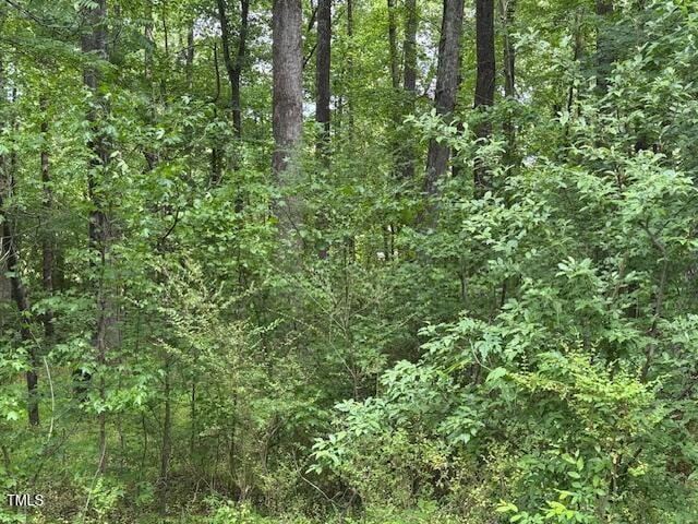 103 Spring Blossom Ln, Durham, NC 27705