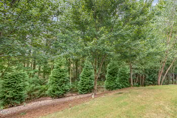 1032 Brightskies St, Morrisville, NC 27560