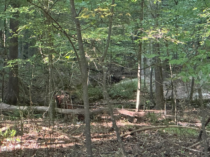 10348 Nash Lot 1182, Chapel Hill, NC 27517