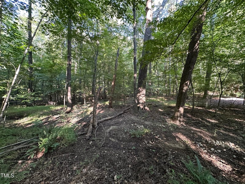 10348 Nash Lot 1182, Chapel Hill, NC 27517