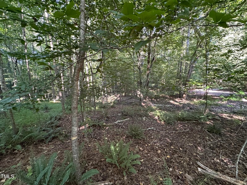 10348 Nash Lot 1182, Chapel Hill, NC 27517