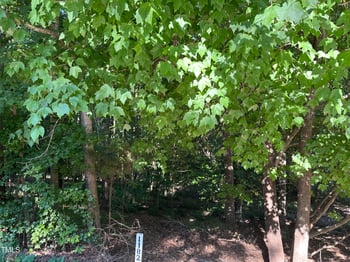 10348 Nash  Lot 1182, Chapel Hill, NC 27517