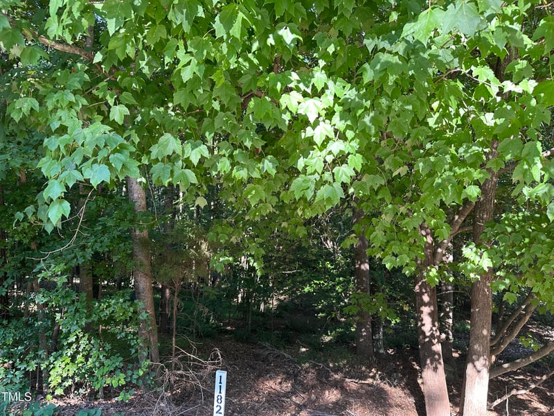 10348 Nash Lot 1182, Chapel Hill, NC 27517