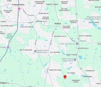 1036 Red Finch Way, Angier, NC 27501