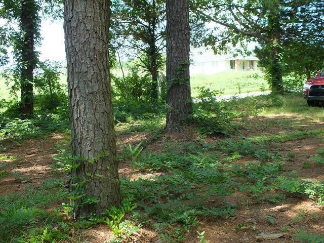 10364 Buffaloe Rd Lot None, Clayton, NC 27527