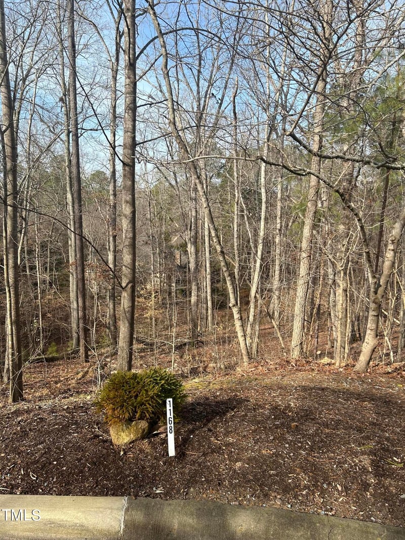 10365 Stephens Lot 1168, Chapel Hill, NC 27517