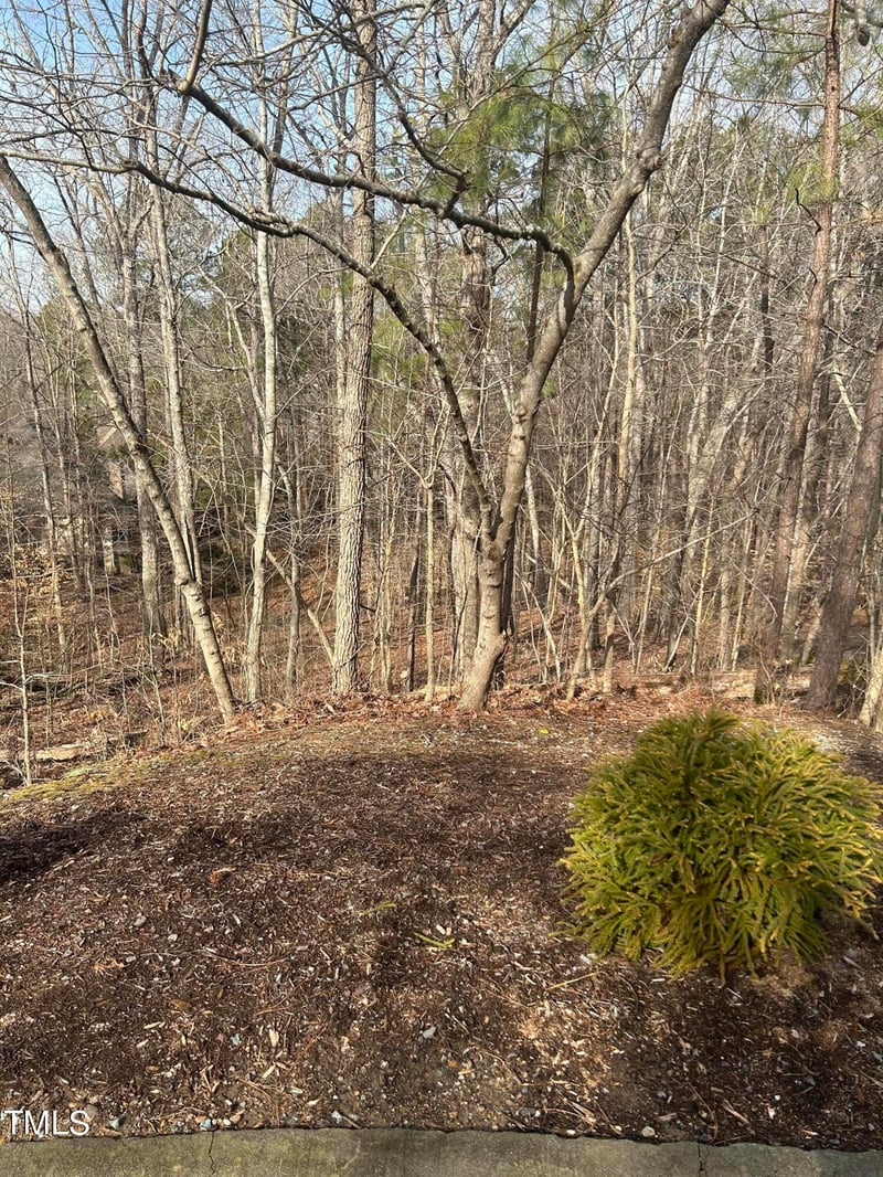 10365 Stephens Lot 1168, Chapel Hill, NC 27517