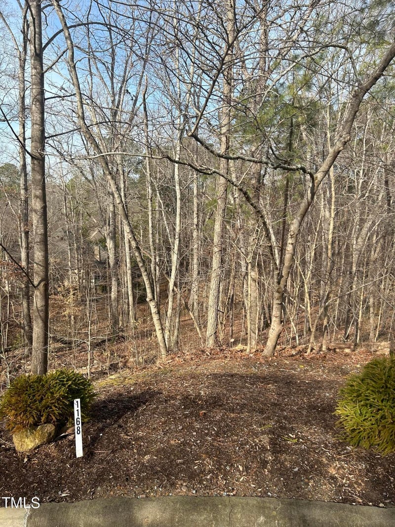 10365 Stephens Lot 1168, Chapel Hill, NC 27517