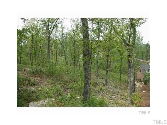 10382 Holt Lot 1184, Chapel Hill, NC 27517