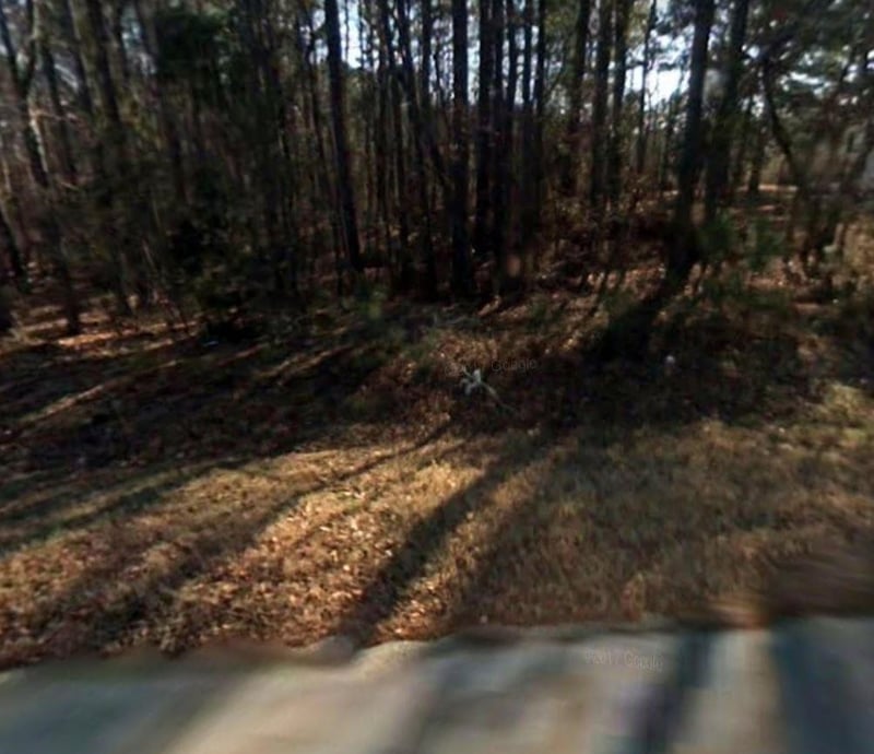 1039 Irongate Dr Lot 26, Apex, NC 27502
