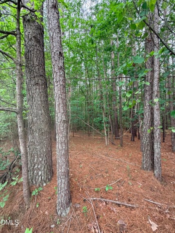 104 Amsterdam Dr Lot 63, Clayton, NC 27527