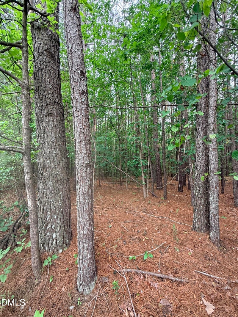 104 Amsterdam Dr Lot 63, Clayton, NC 27527