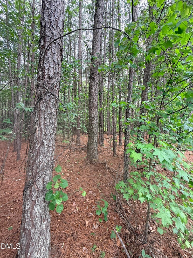 104 Amsterdam Dr Lot 63, Clayton, NC 27527