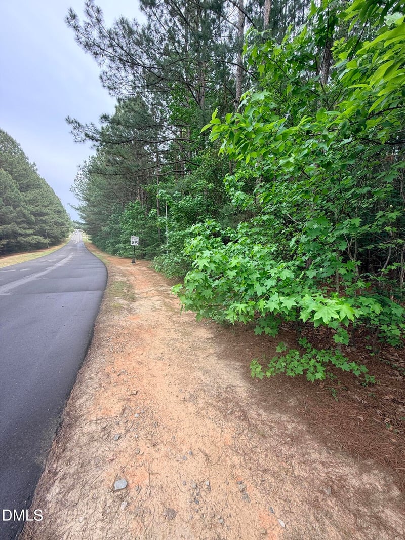104 Amsterdam Dr Lot 63, Clayton, NC 27527
