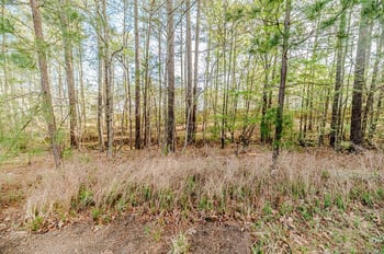 104 Foothill Ct, Sanford, NC 27330