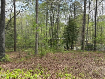 104 Indian Cv Lot 31C, Louisburg, NC 27549