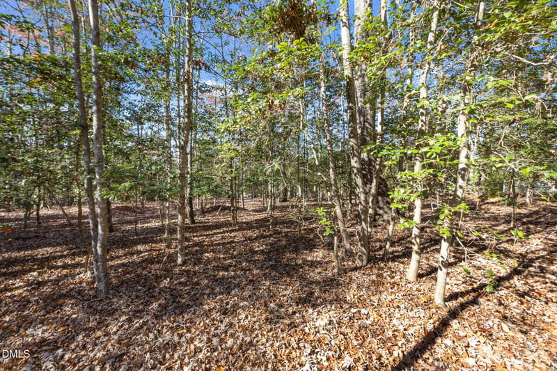 104 Nations Cv, Louisburg, NC 27549