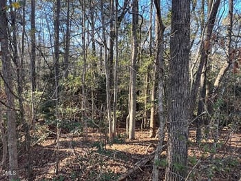 104 Santee Dr, Louisburg, NC 27549