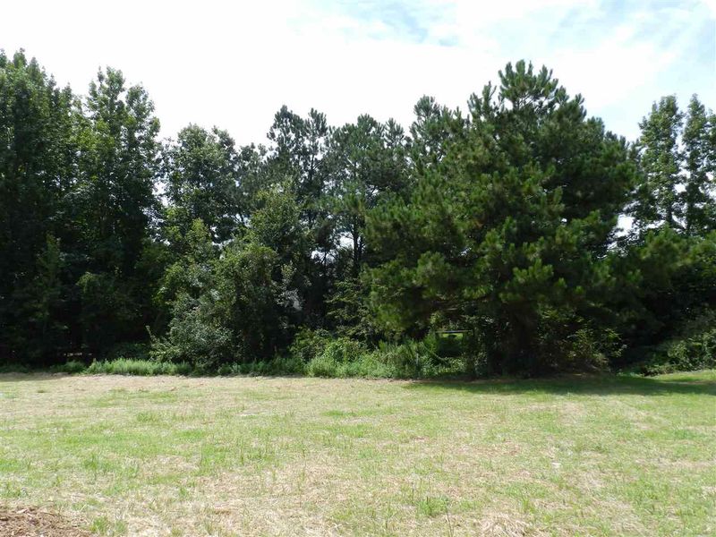 104 Willard Wood Rn, Benson, NC 27504