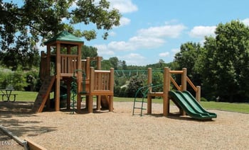 1042 Mica Lamp Ct, Apex, NC 27502