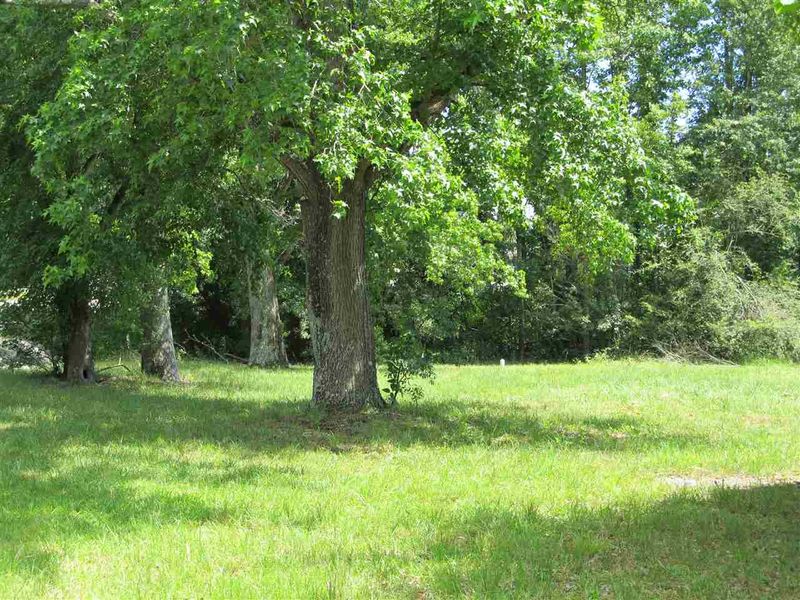 1043 N Raleigh St, Angier, NC 27501