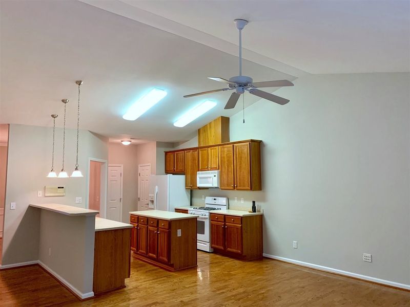 10445 Blue Dun Way, Raleigh, NC 27614