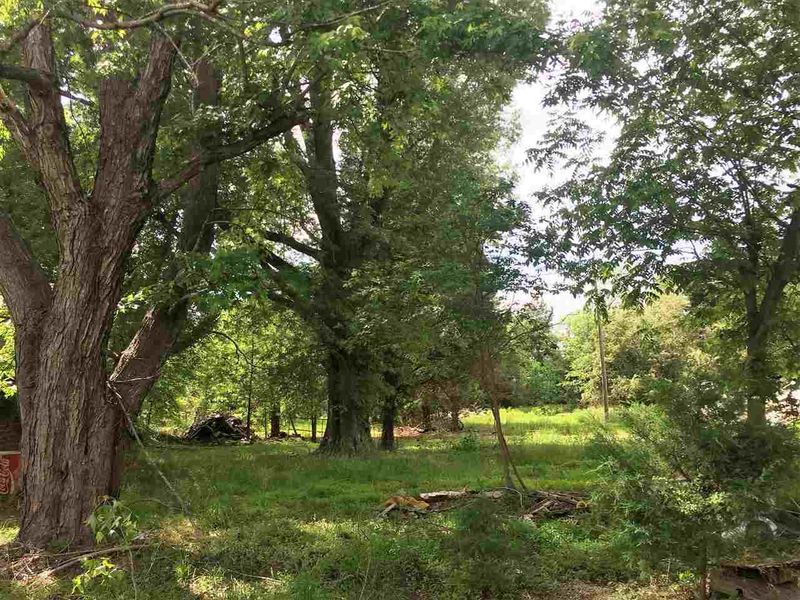 1049 N Main St Lot 1-3, Wake Forest, NC 27587