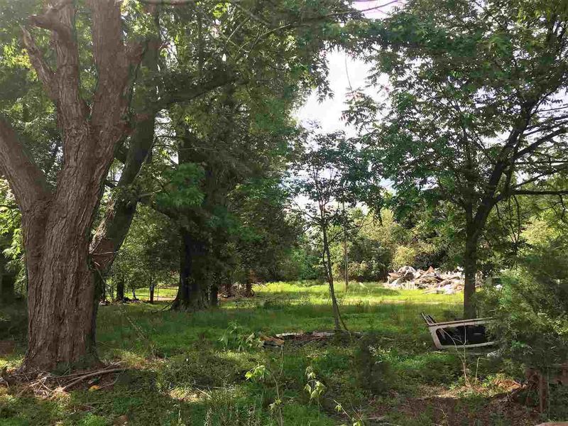 1049 N Main St Lot 1-3, Wake Forest, NC 27587