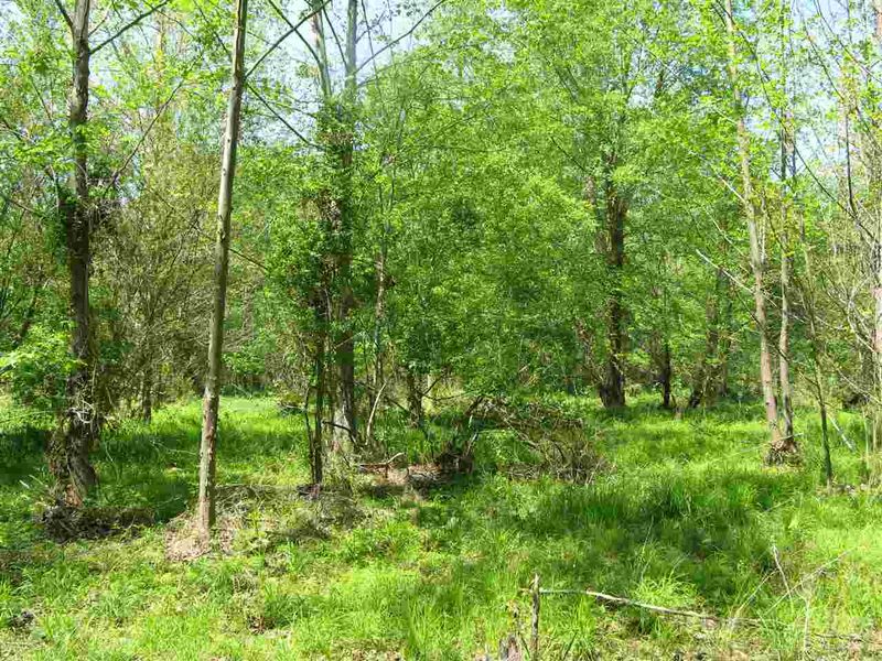 105 Falcon Crest Ln, Youngsville, NC 27596