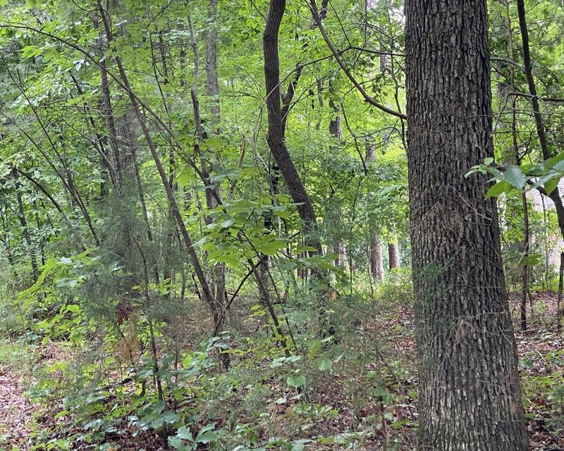 105 Grainger Ln Lot 1B, Chapel Hill, NC 27514