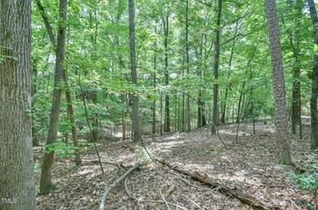 105 Oldham Pl, Chapel Hill, NC 27516