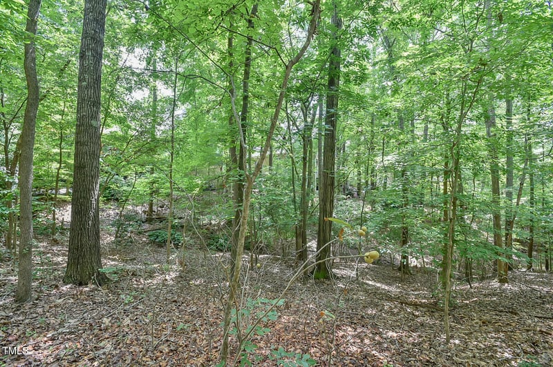 105 Oldham Pl, Chapel Hill, NC 27516