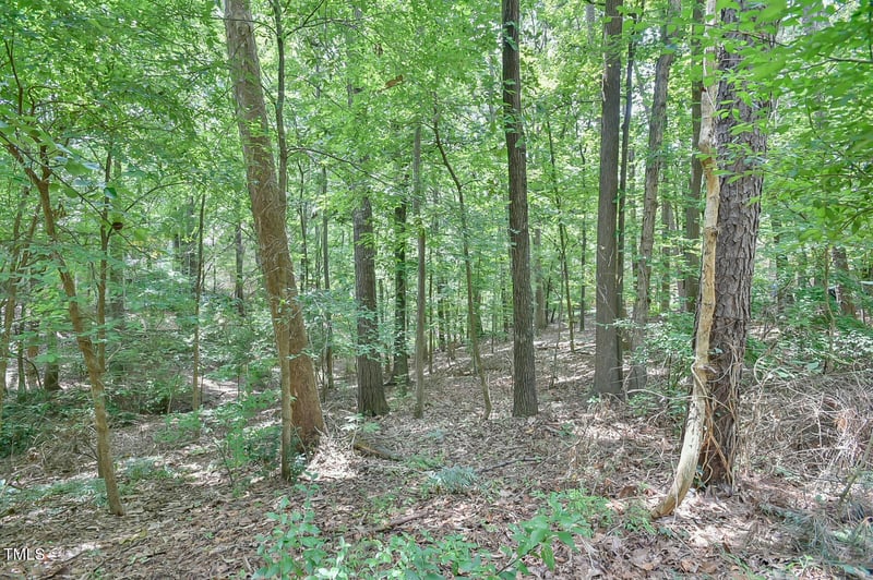 105 Oldham Pl, Chapel Hill, NC 27516