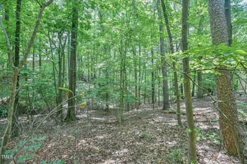 105 Oldham Pl, Chapel Hill, NC 27516