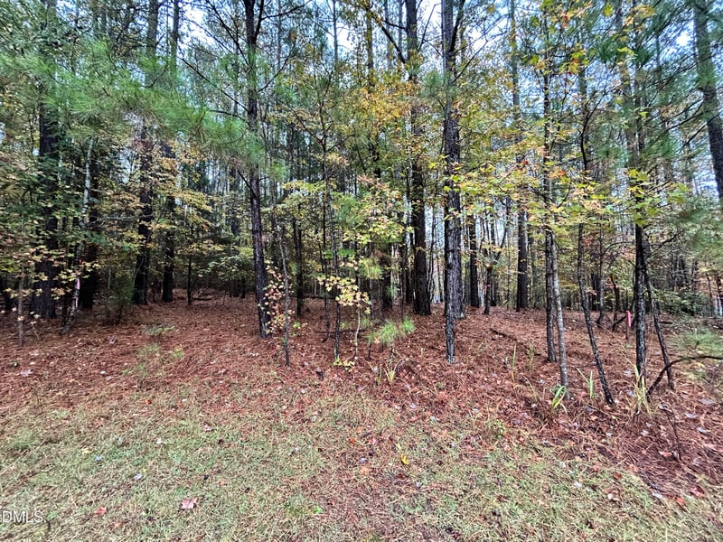 105 Shaman Dr, Louisburg, NC 27549