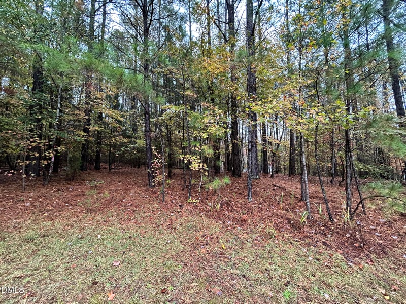 105 Shaman Dr, Louisburg, NC 27549