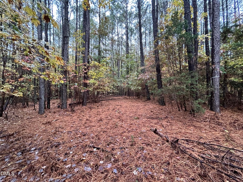 105 Shaman Dr, Louisburg, NC 27549