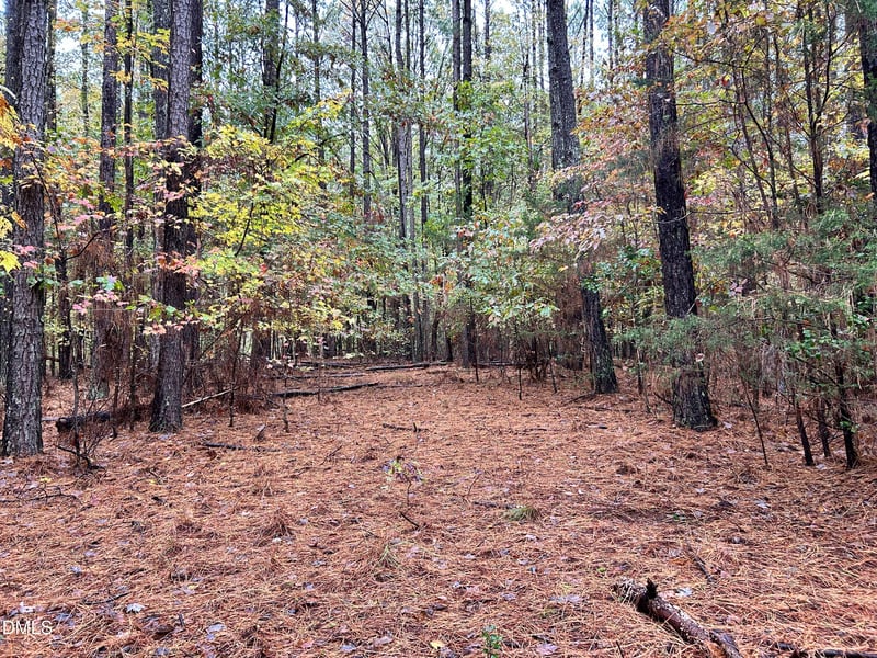 105 Shaman Dr, Louisburg, NC 27549