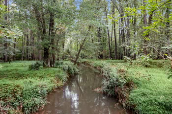 105 Sully Ct, Chapel Hill, NC 27514