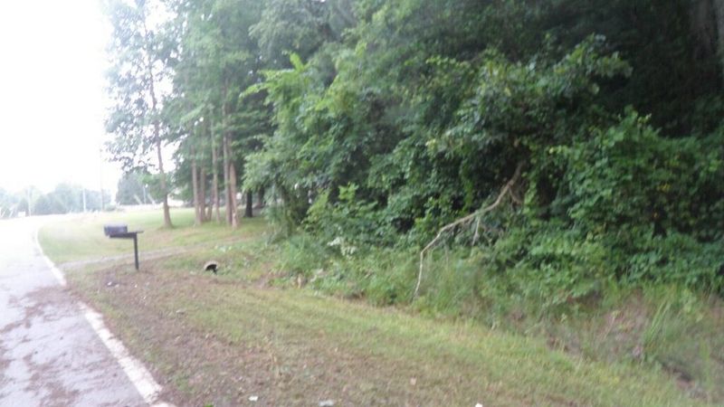 1055 Napoleon Rd Lot 9B, Selma, NC 27576