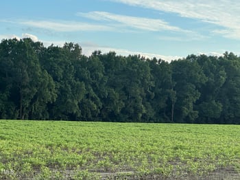 10581 Nc Hwy 42 Lot 3, Middlesex, NC 27557