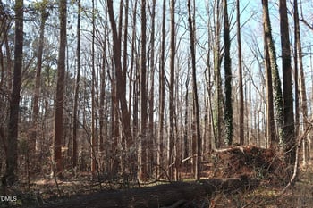 106 Frank Rd, Cary, NC 27518